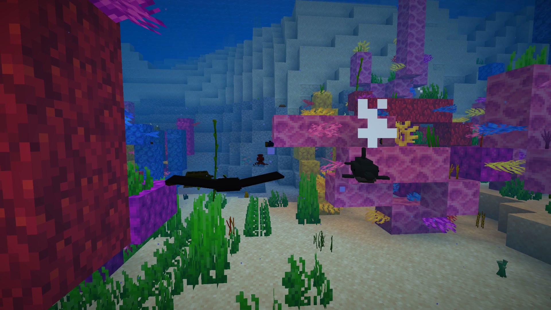 Coral reef underwater with sea animals